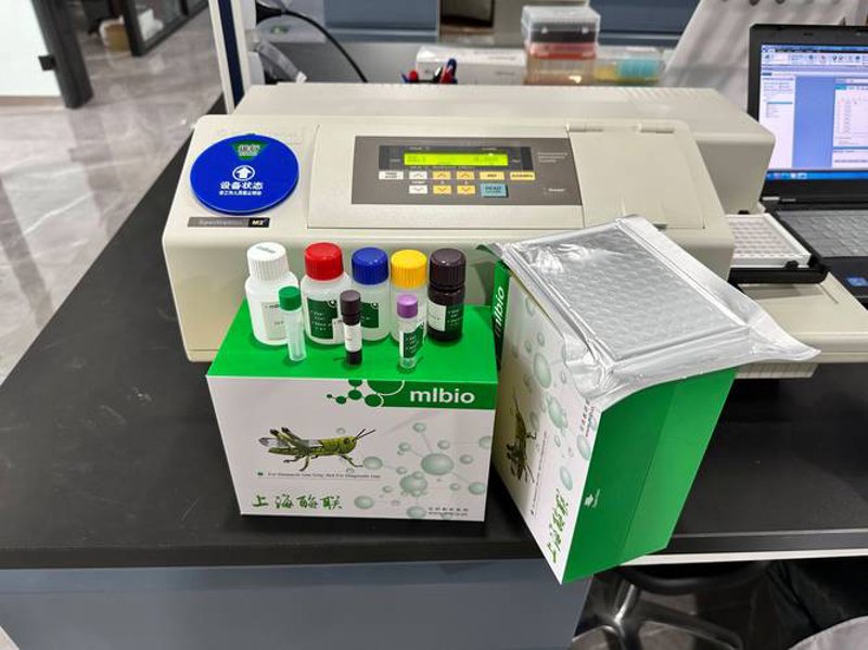 生物科技公司：推动人类健康的科技革命