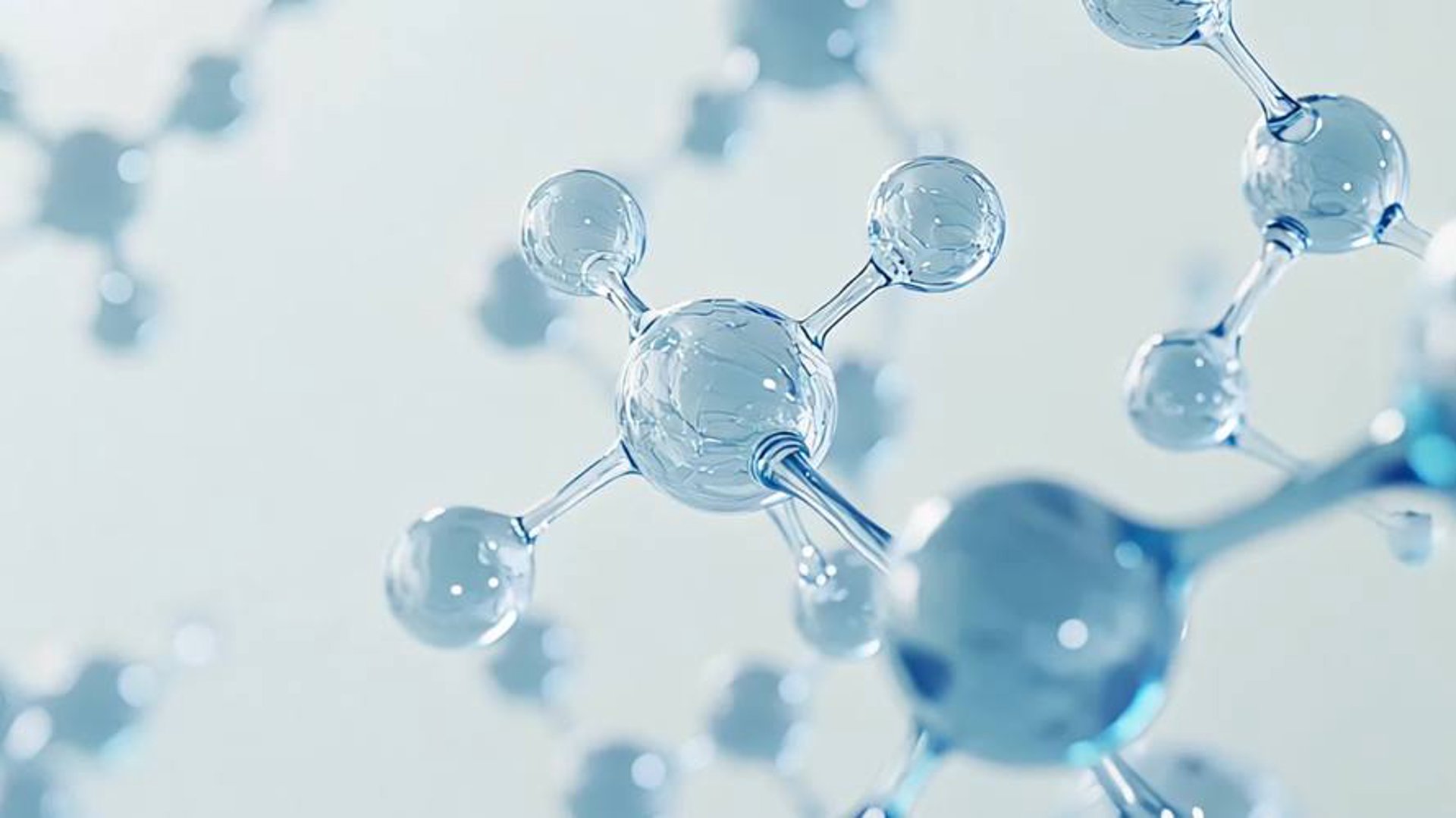 根美生物科技